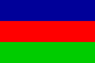 swapo flag